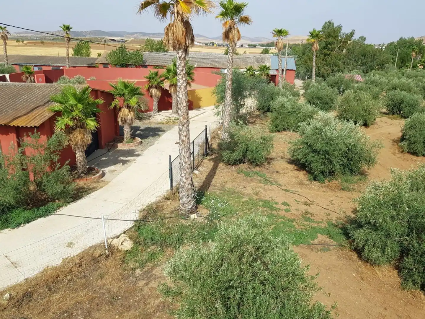 Casa rústica en venda a Torrenueva, imagen 29