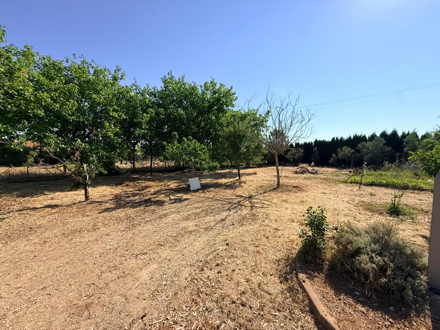 Finca rústica en venda en Tomelloso amb Jardí privat, Piscina i Moblat
