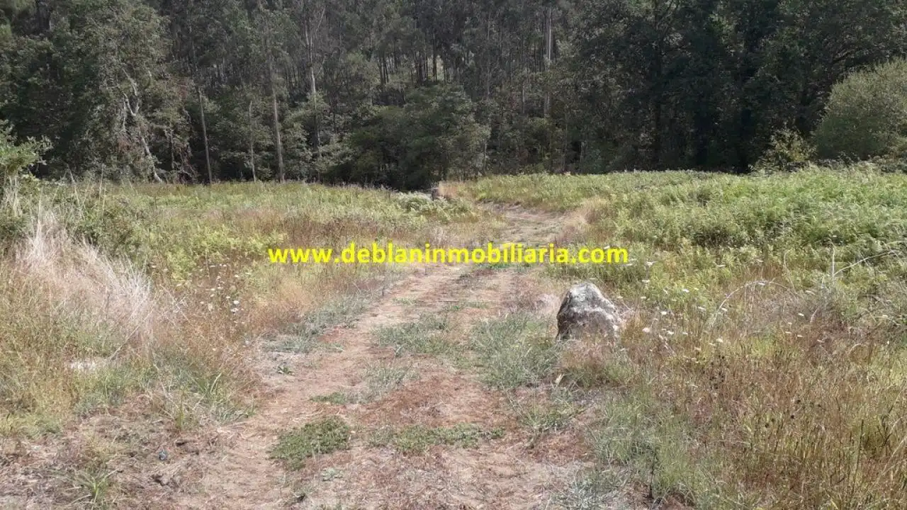 Terreno rustico in vendita a Tui, imagen 4