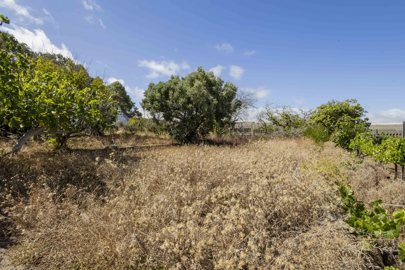 Haus oder Chalet zum Verkauf in San Cristóbal de la Laguna mit Privatgarten, Terrasse und Abstellraum