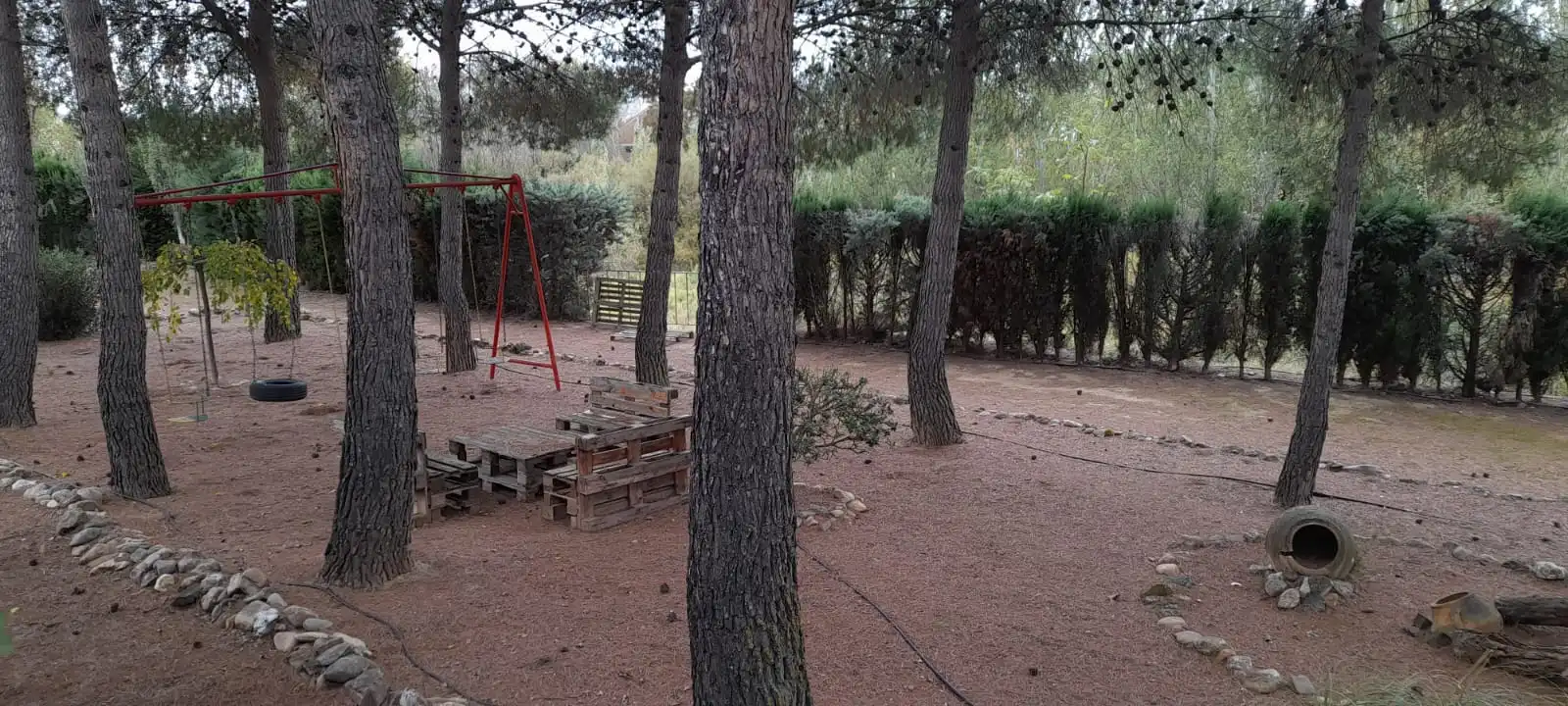Garden of Industrial land for sale in Calatayud