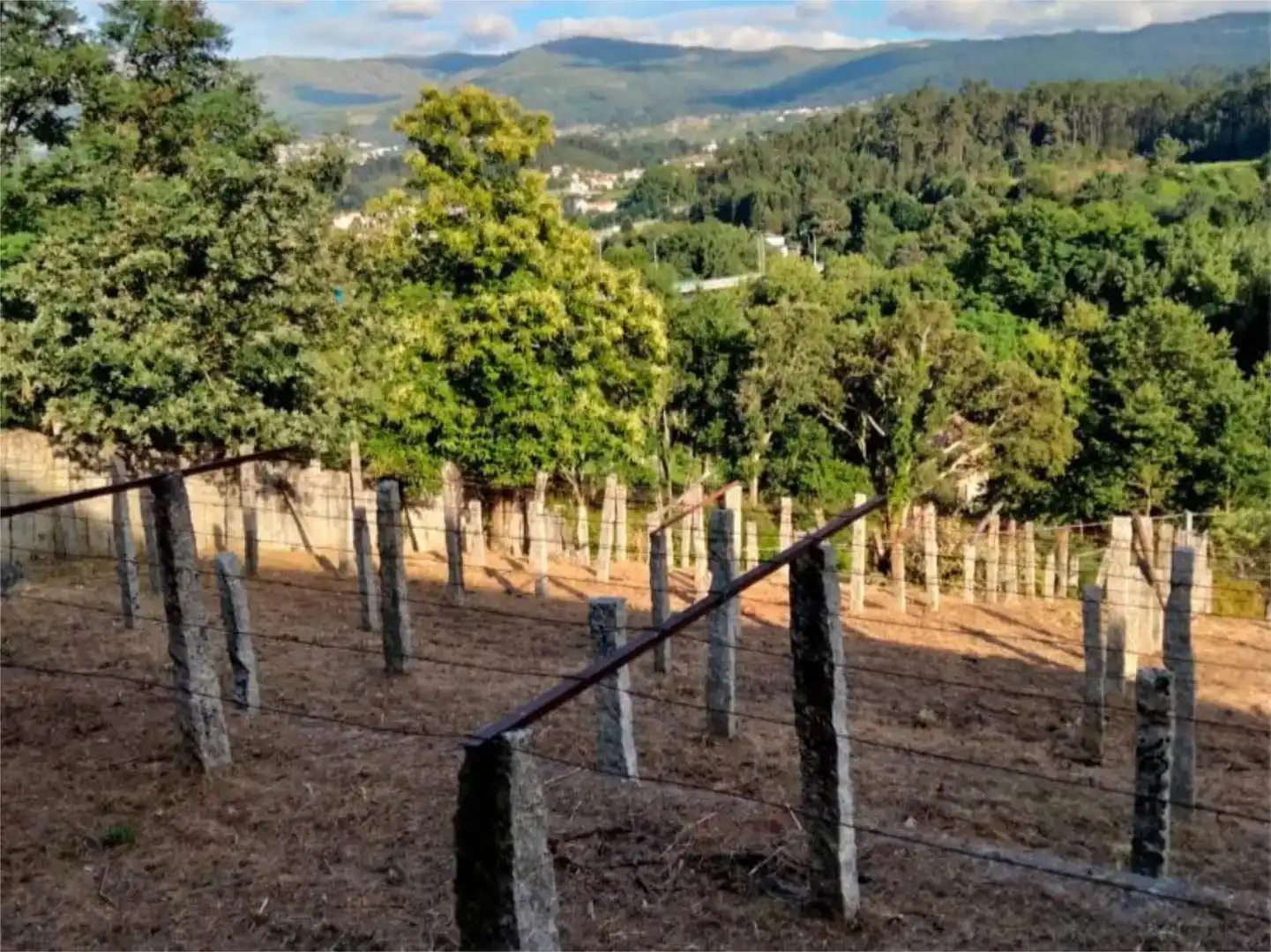 Vista exterior de Casa o xalet en venda en Arbo