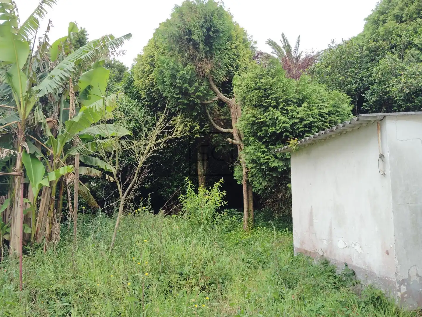 Casa amb jardí en venda a CABALO BRANCO, imagen 12
