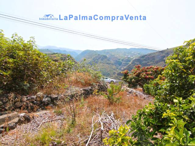 Terreno en Venta en Camino Lomo López Arriba, 37B en San Andrés y Sauces