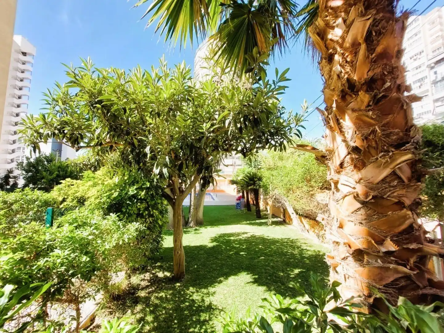 Jardín de Apartamento en venta en Benidorm con Aire acondicionado, Terraza y Piscina comunitaria