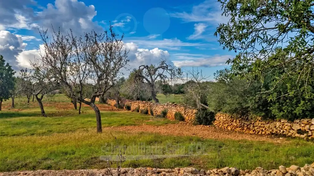 Rustikales Grundstück zum Verkauf in Cala Ferrera - Cala Serena, imagen 2