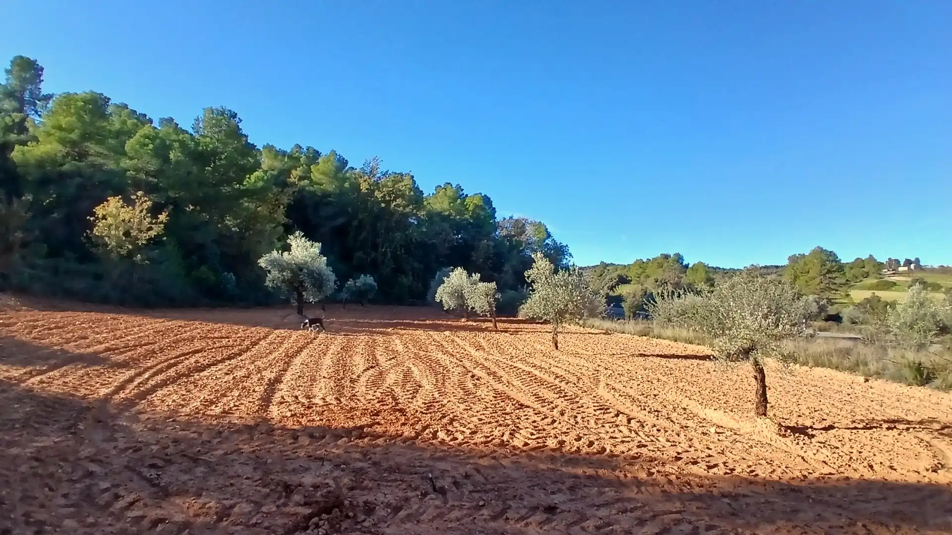 Terreno rustico in vendita a N/A, imagen 9