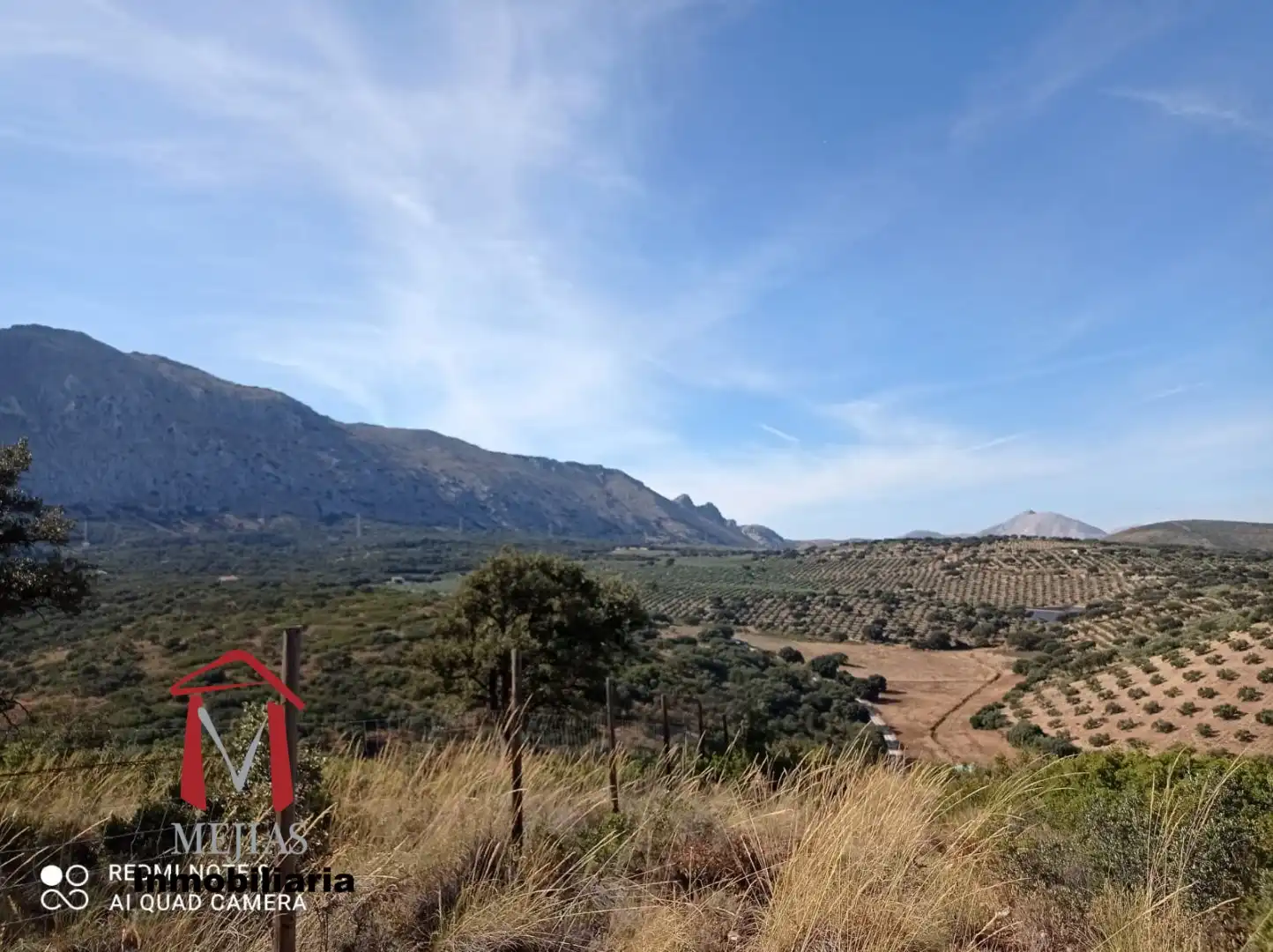 Vista exterior de Finca rústica en venta en Antequera con Terraza, Trastero y Piscina