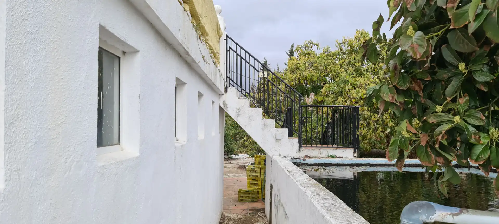 Vista exterior de Finca rústica en venda en Mijas amb Aire condicionat, Calefacció i Jardí privat
