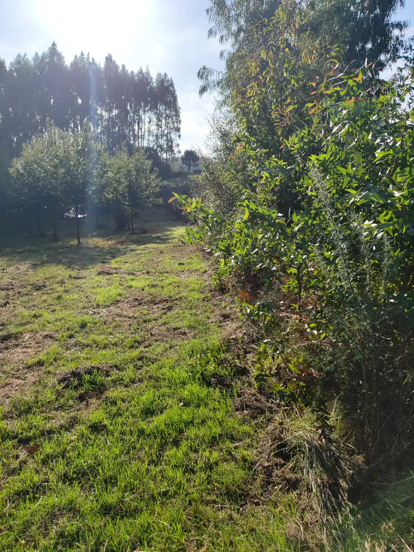 Land for sale in Dumbría