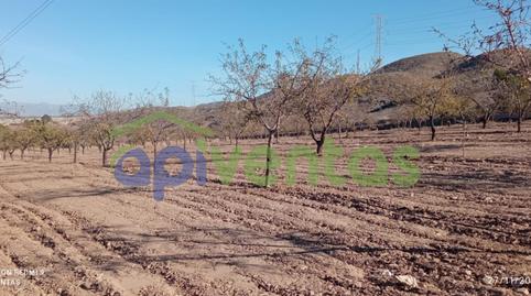 Photo 3 of Land for sale in Escucha, Lorca