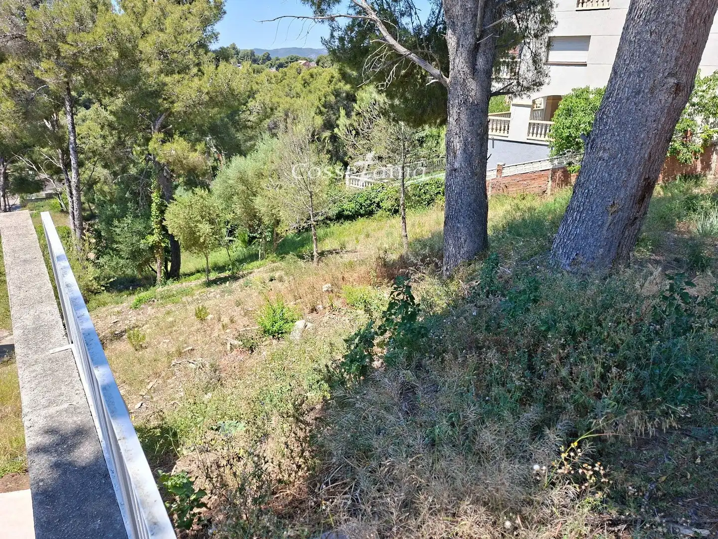 Terreno rustico in vendita a Llorens, imagen 7