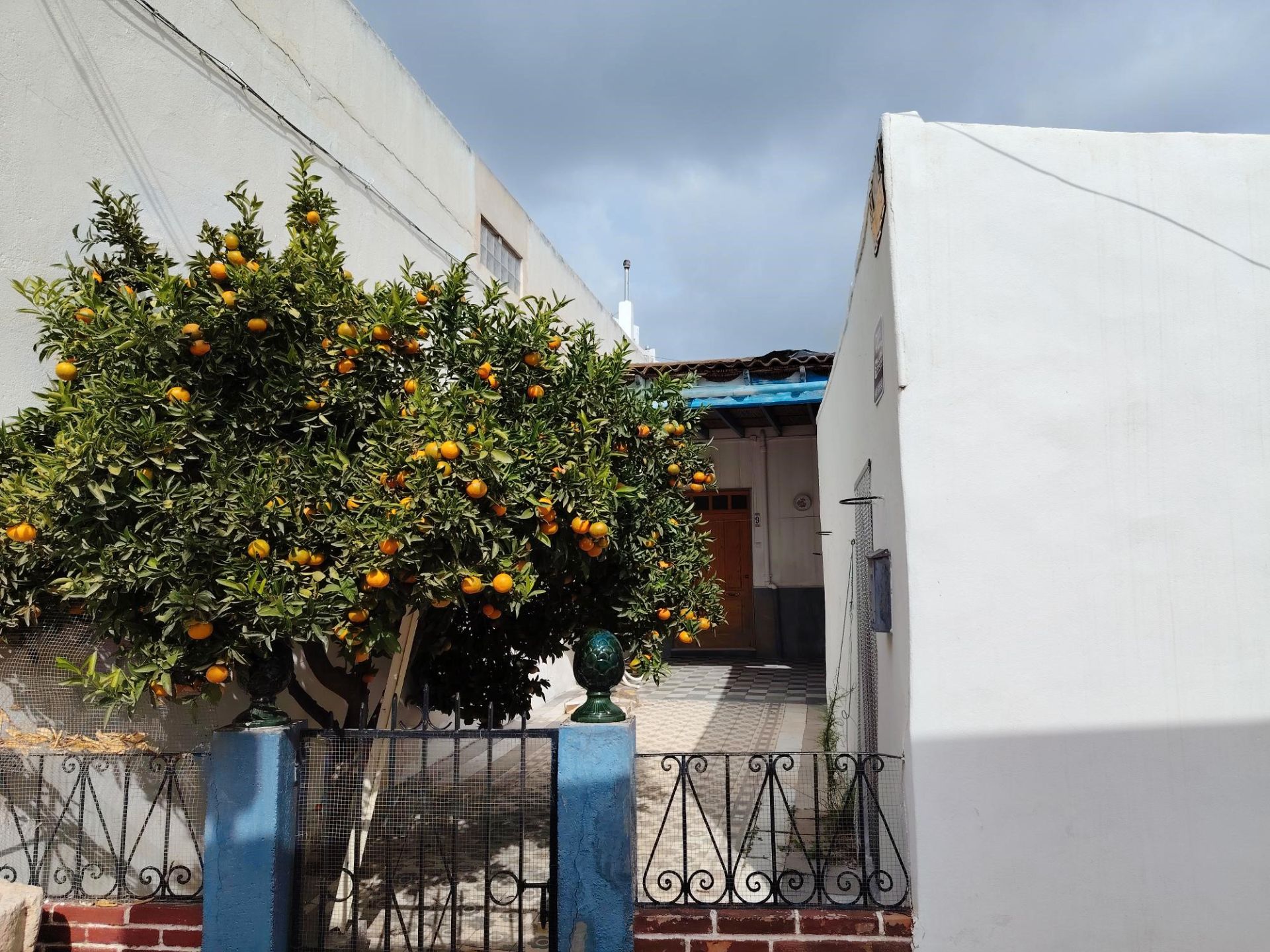 Vista exterior de Finca rústica en venda en Níjar