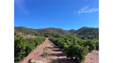 Foto 2 de Casa o chalet en venta en Carrer el Coscollar, S/n, Albalat dels Tarongers, Valencia