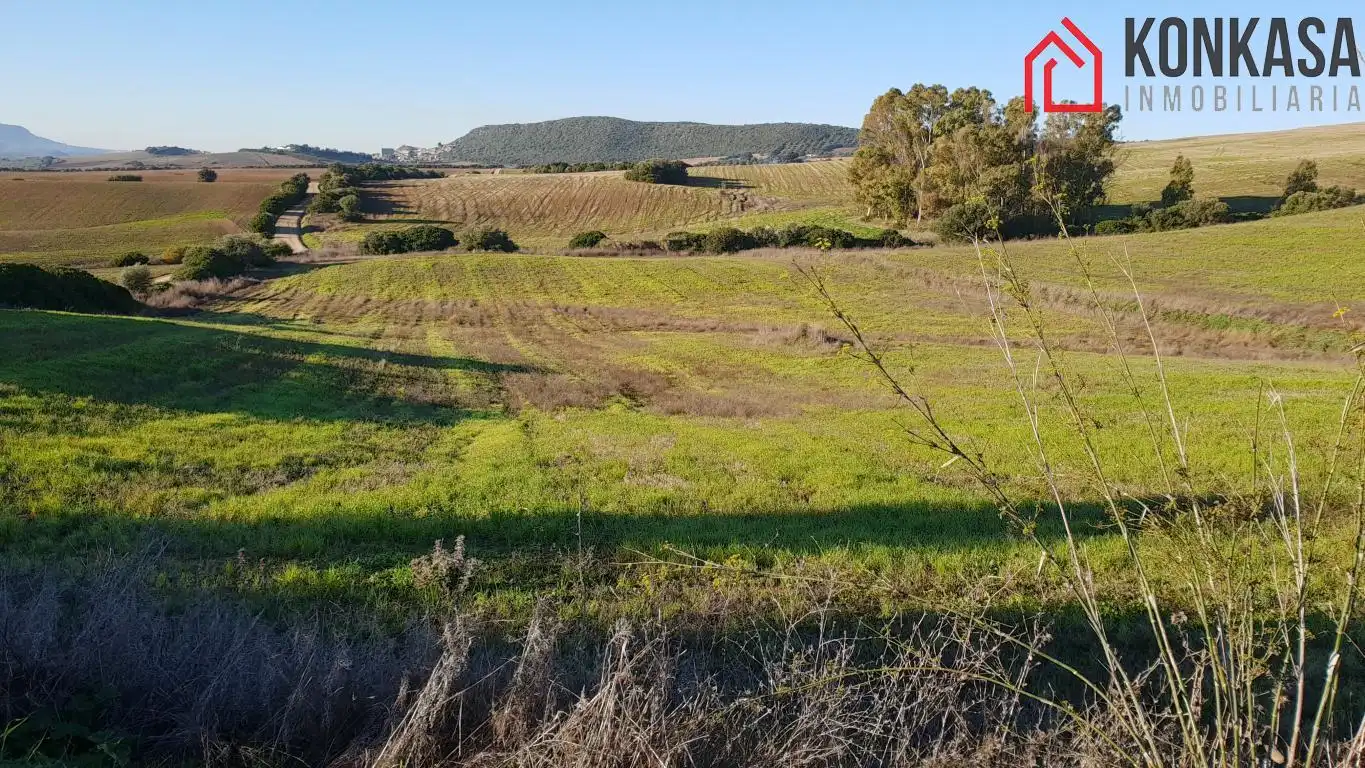 Casa rústica en venda a Arcos de la Frontera, imagen 4