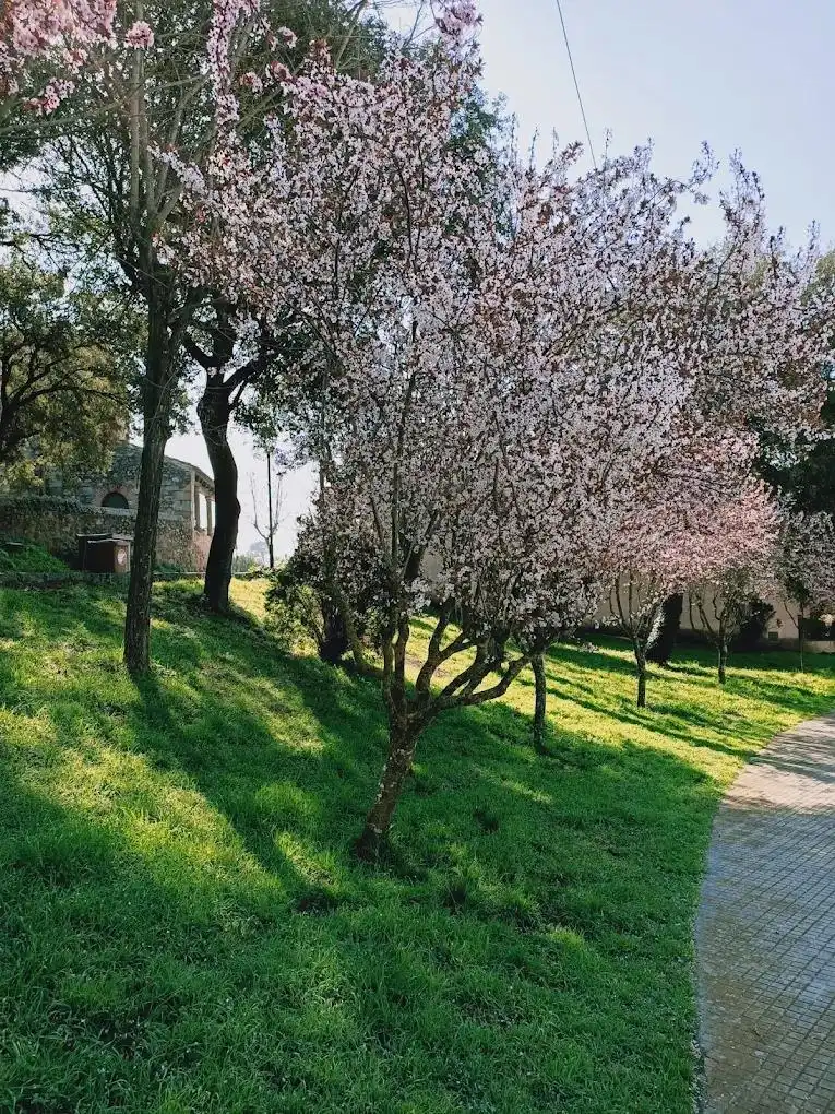 Terreny residencial en venda a Calle Jaume Cuyas, imagen 16