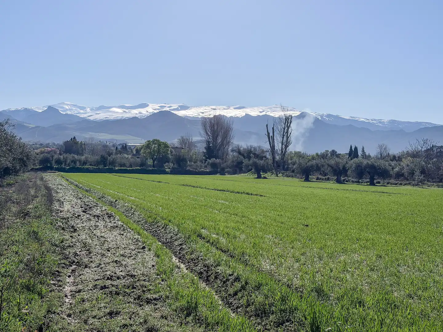 Terreni e lotti in vendita a Camino del Cerro 189, imagen 16