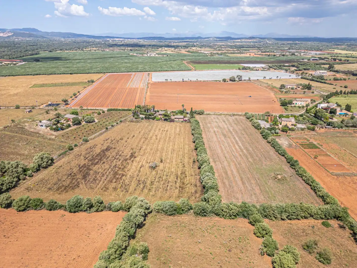 Rural land for sale in Felanitx Poble, imagen 17