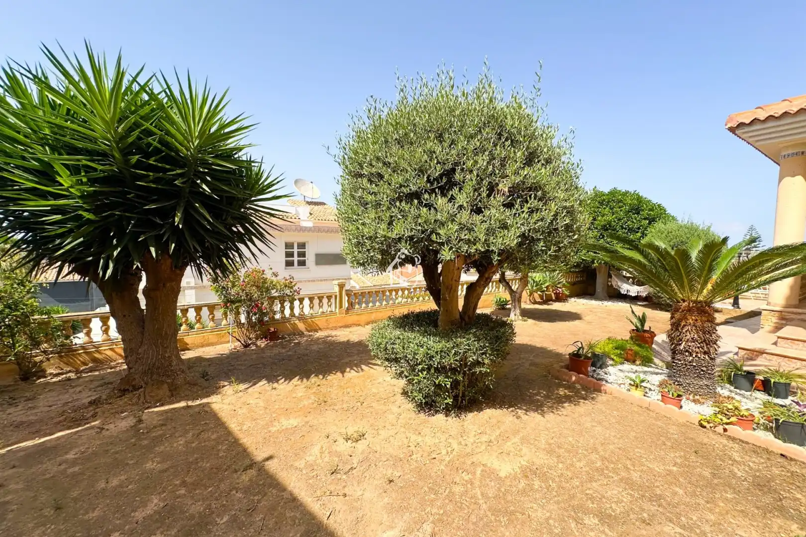 Jardí de Finca rústica de lloguer en San Miguel de Salinas amb Aire condicionat, Jardí privat i Terrassa
