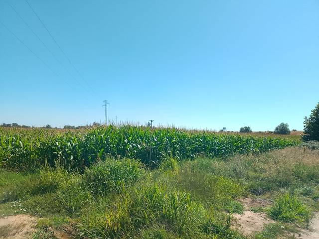 Terreno residencial en Venta en Gimialcón