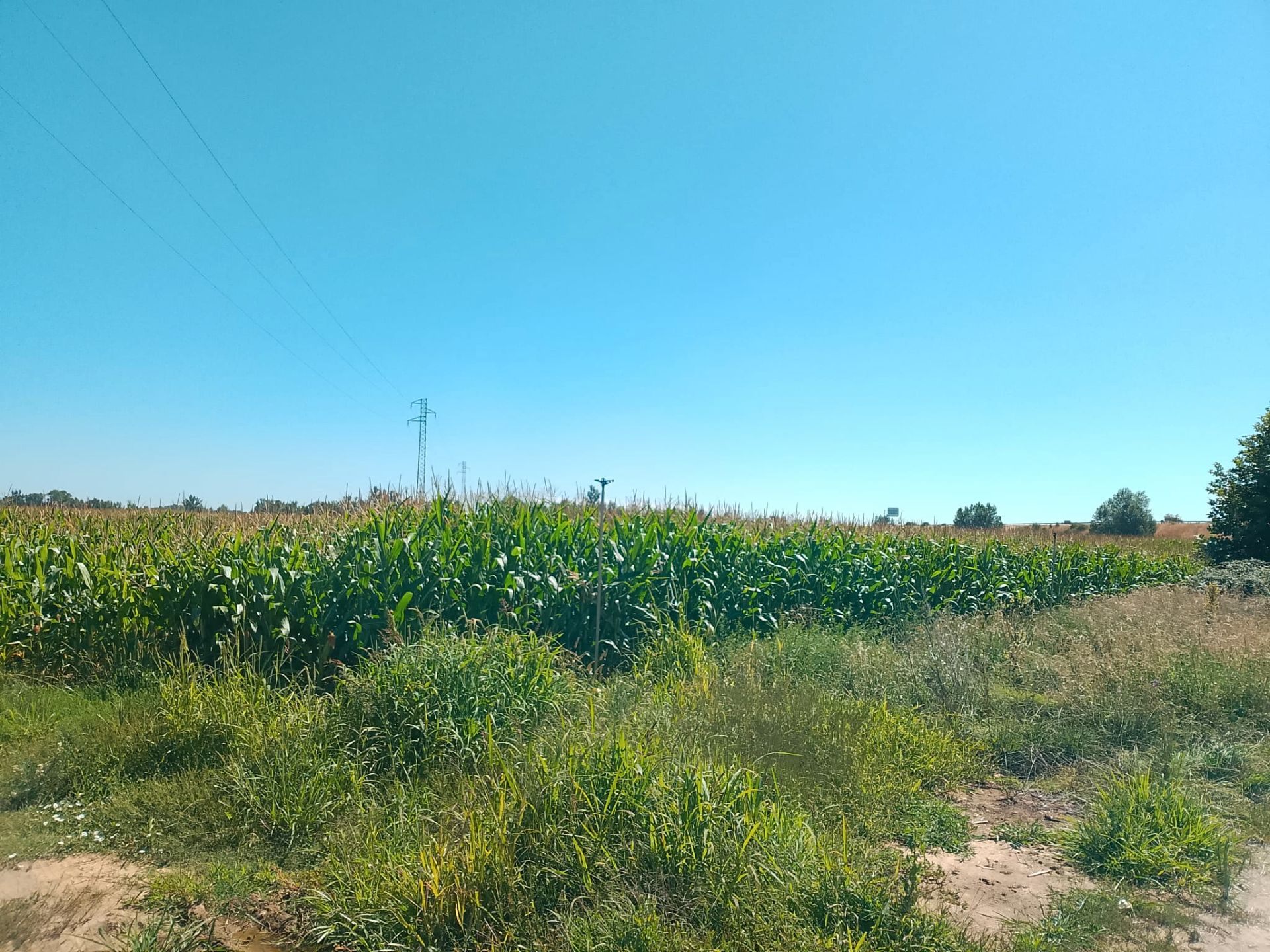 Residencial en venda en Gimialcón