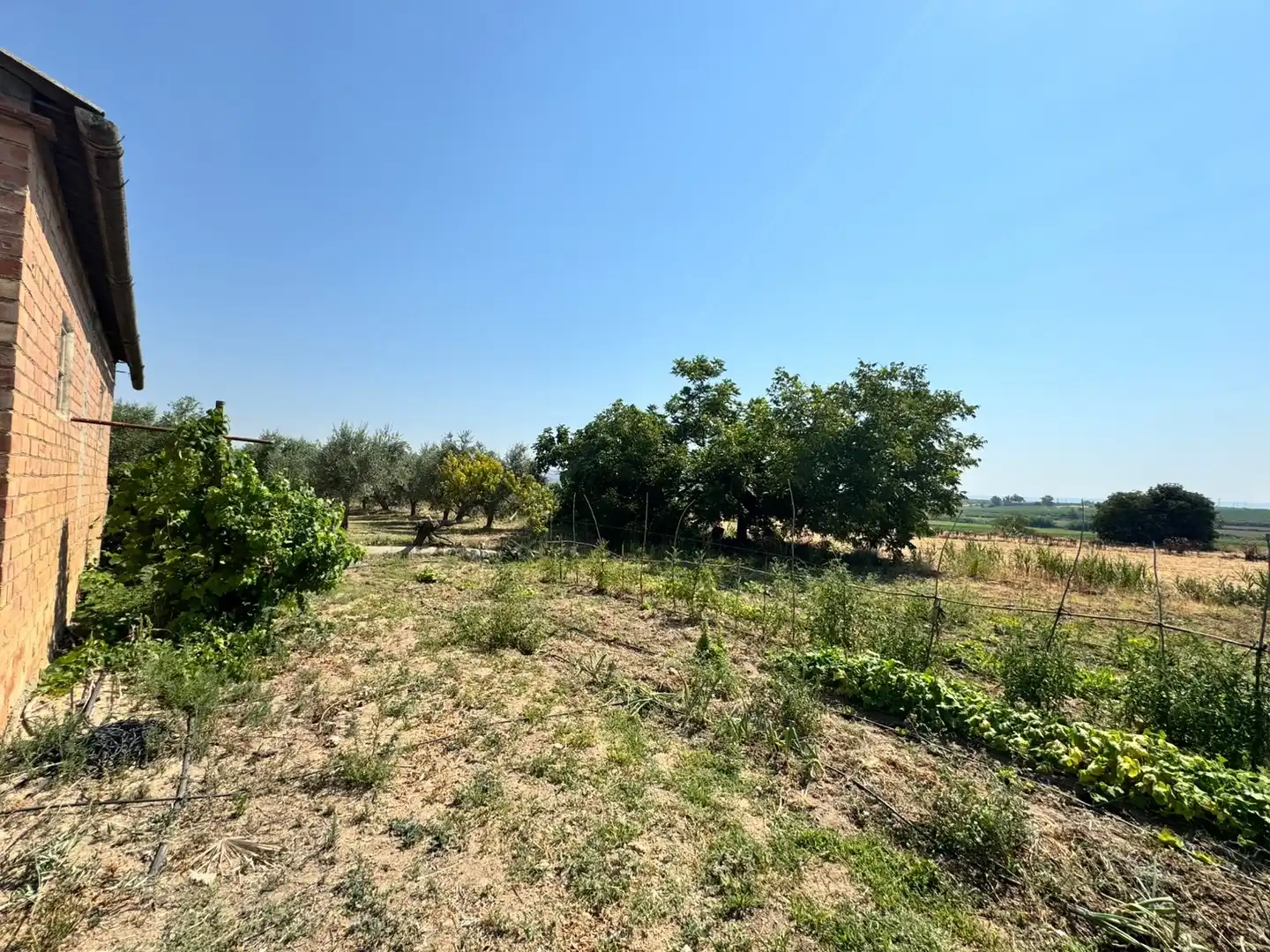 Terreni e lotti in vendita a Tamarite de Litera, imagen 13