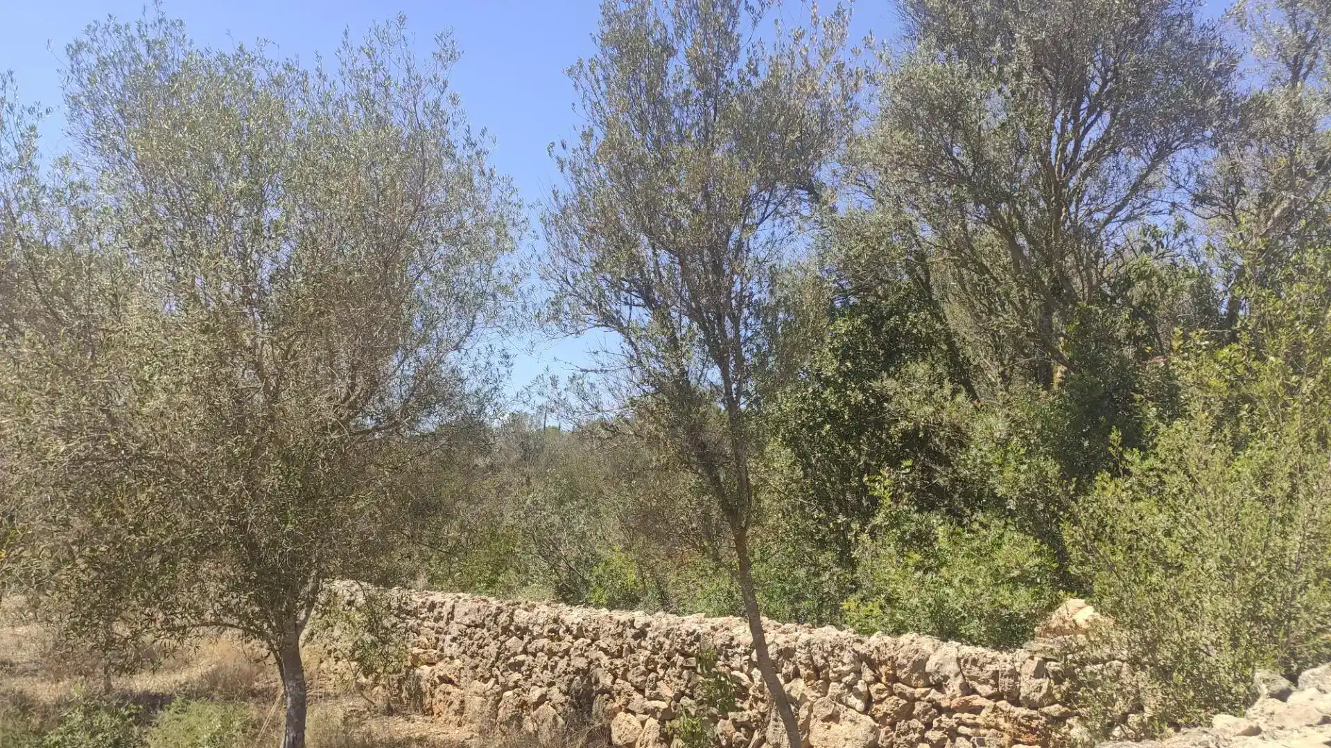 Terreny en venda en Marratxí