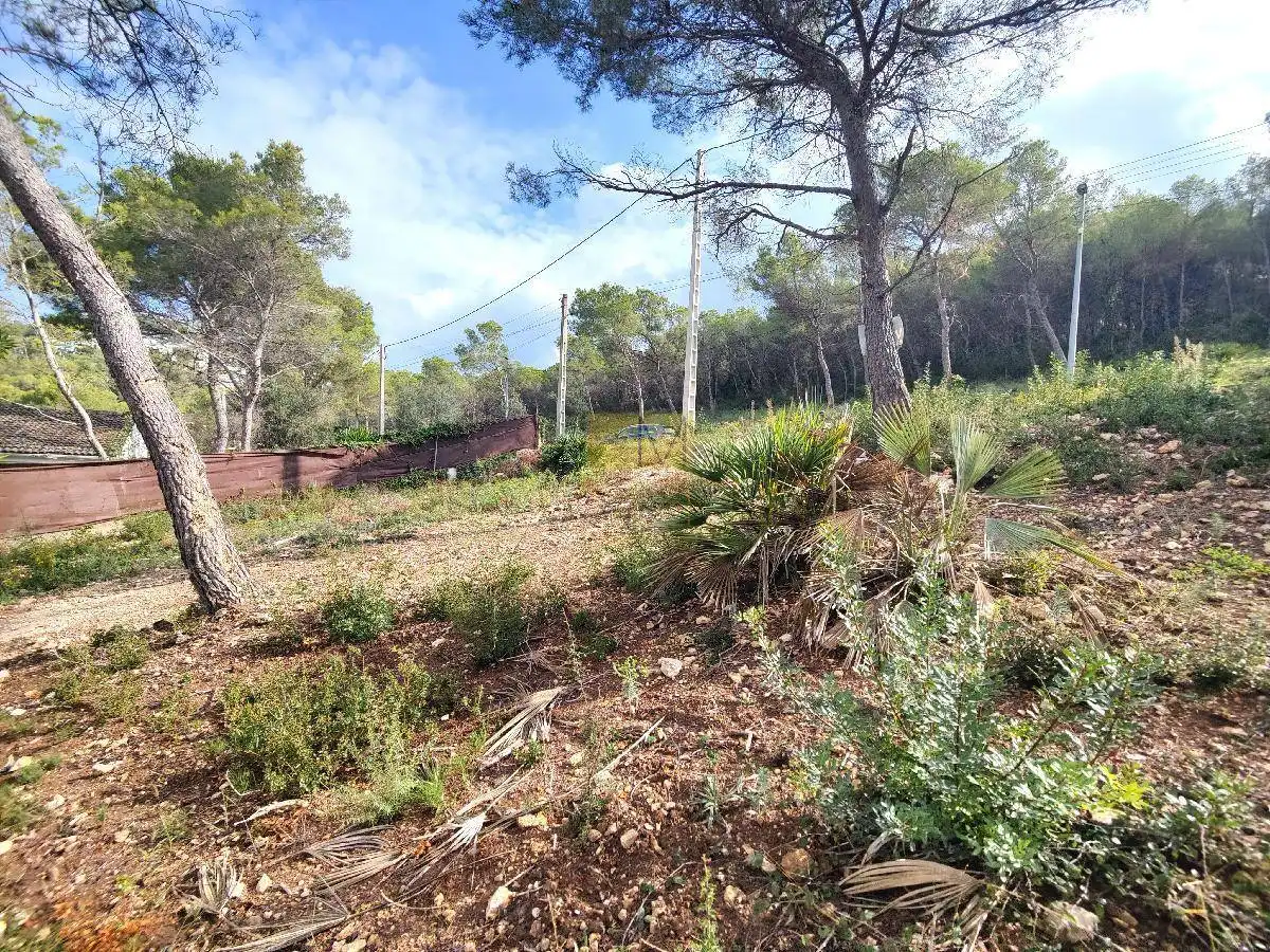 Terrenos y solares en venta en Canyelles, imagen 9