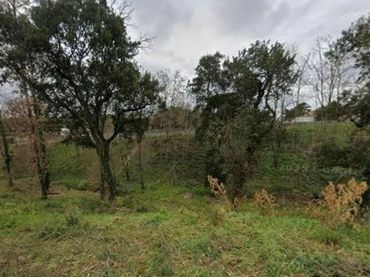 Terrain rustique à vendre à Calle Font martina 580