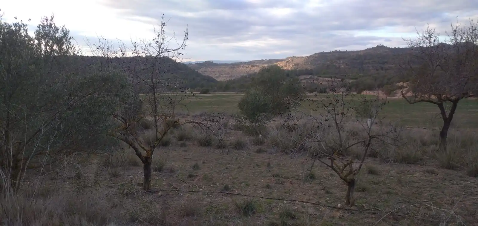 Terreno en venta en La Torre de l'Espanyol
