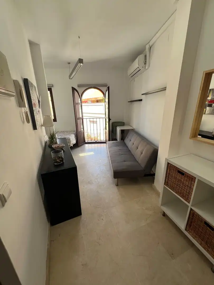 Sala de estar de Ático de alquiler en  Sevilla Capital con Aire acondicionado, Terraza y Trastero