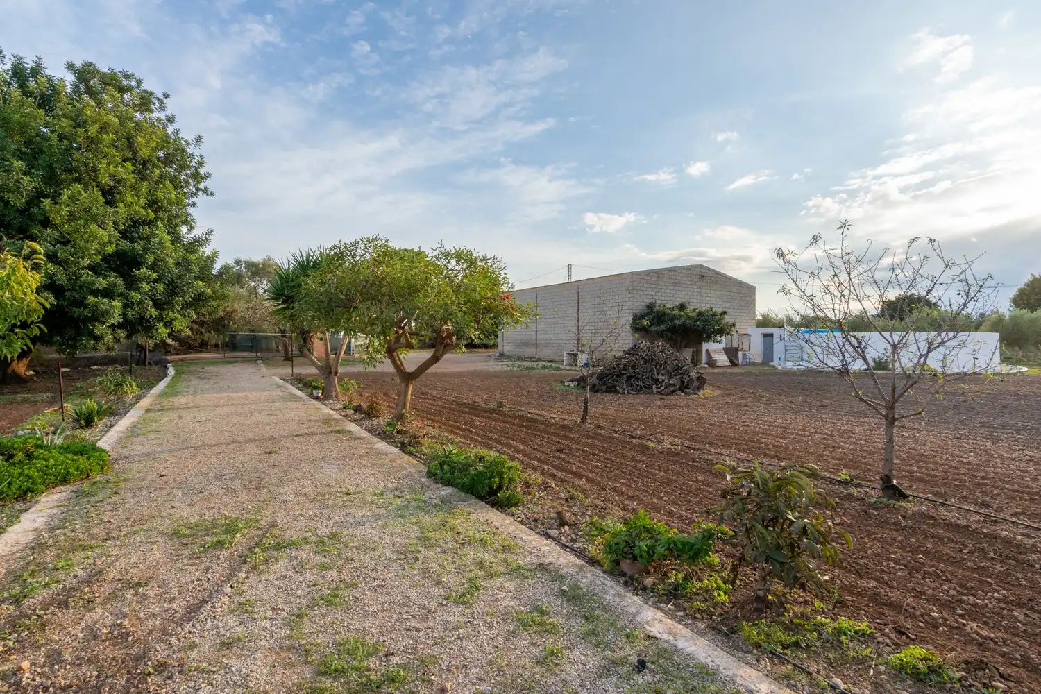 Terreno rustico in vendita a Carretera del Cementiri 9, imagen 25