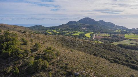 Photo 4 of Land for sale in Canyamel, Illes Balears