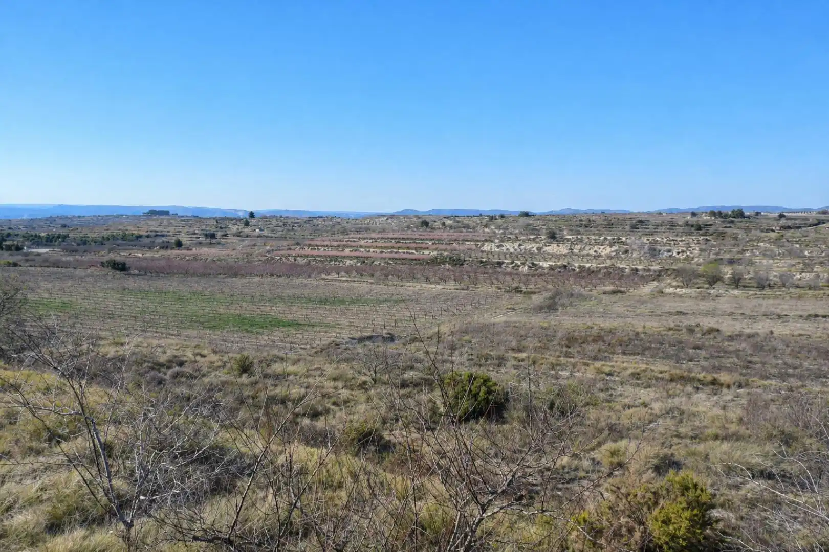 Terreno rústico en venta en Castelló de Rugat, imagen 4