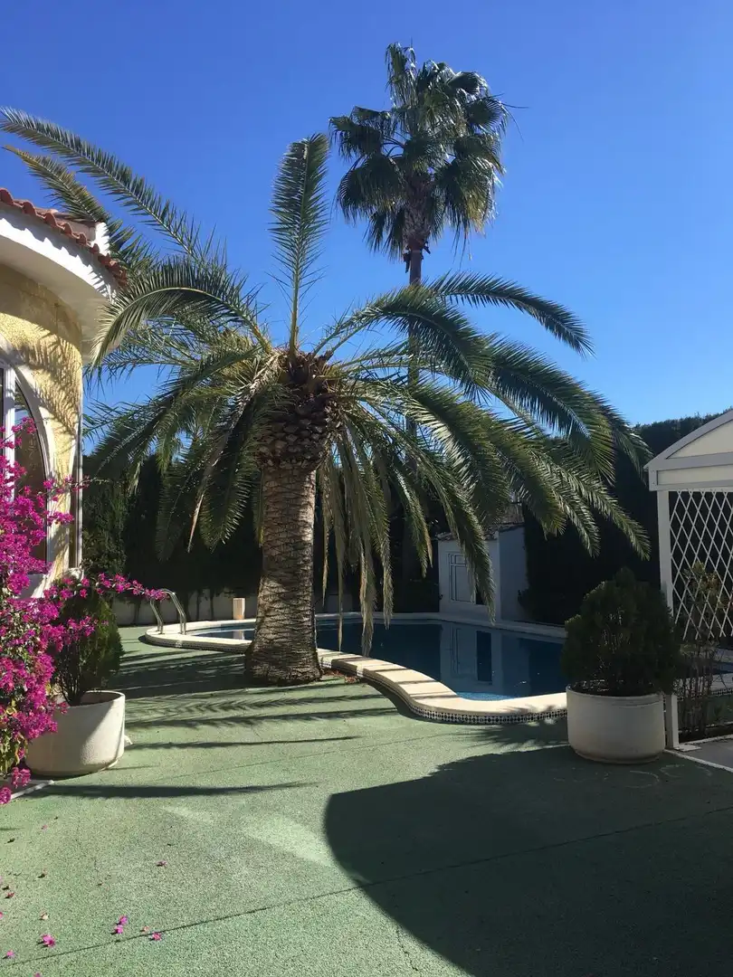 Piscina de Casa o xalet en venda en Rojales amb Jardí privat i Piscina
