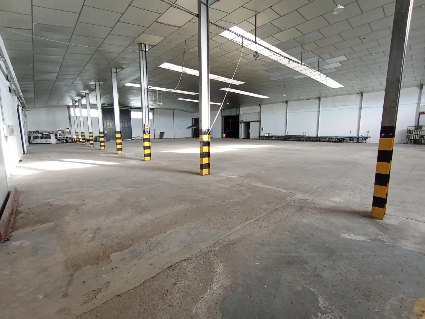 Nave industrial de alquiler en Elche / Elx