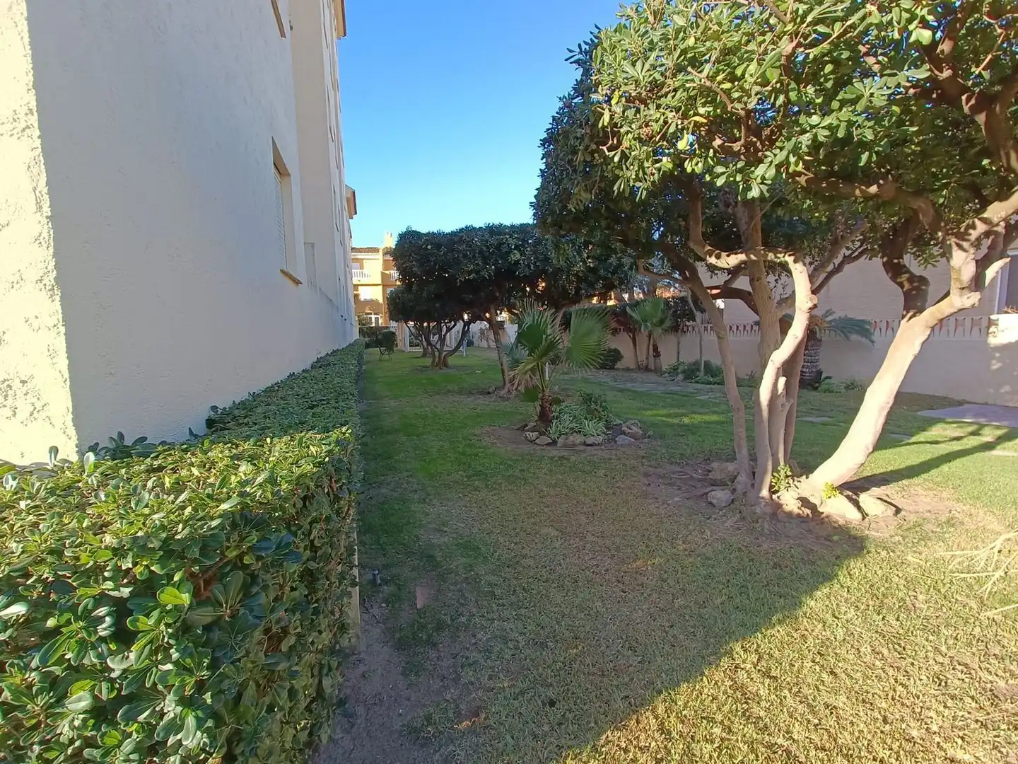 Jardí de Pis de lloguer en El Perelló