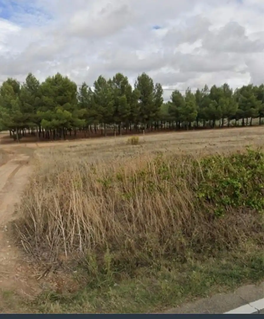 Terreno rustico in vendita a Chinchón, imagen 3