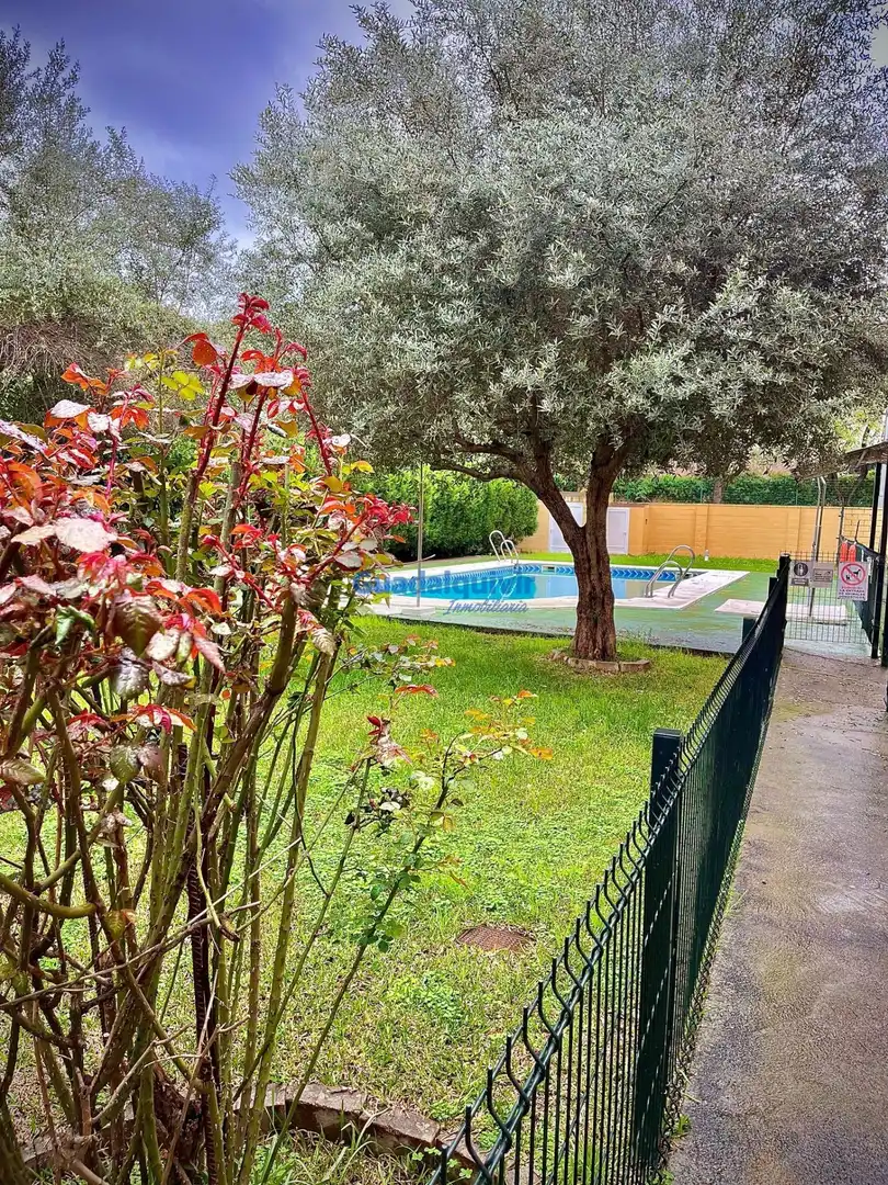 Flat with pool to rent in Este - Alcosa- Torreblanca, imagen 50