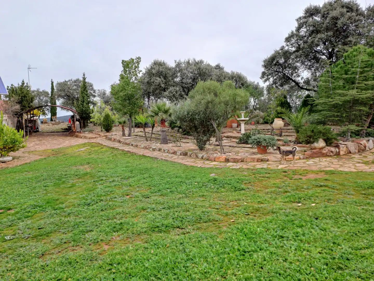 Garden of Country homes for sale in Santa Eufemia  with Furnished