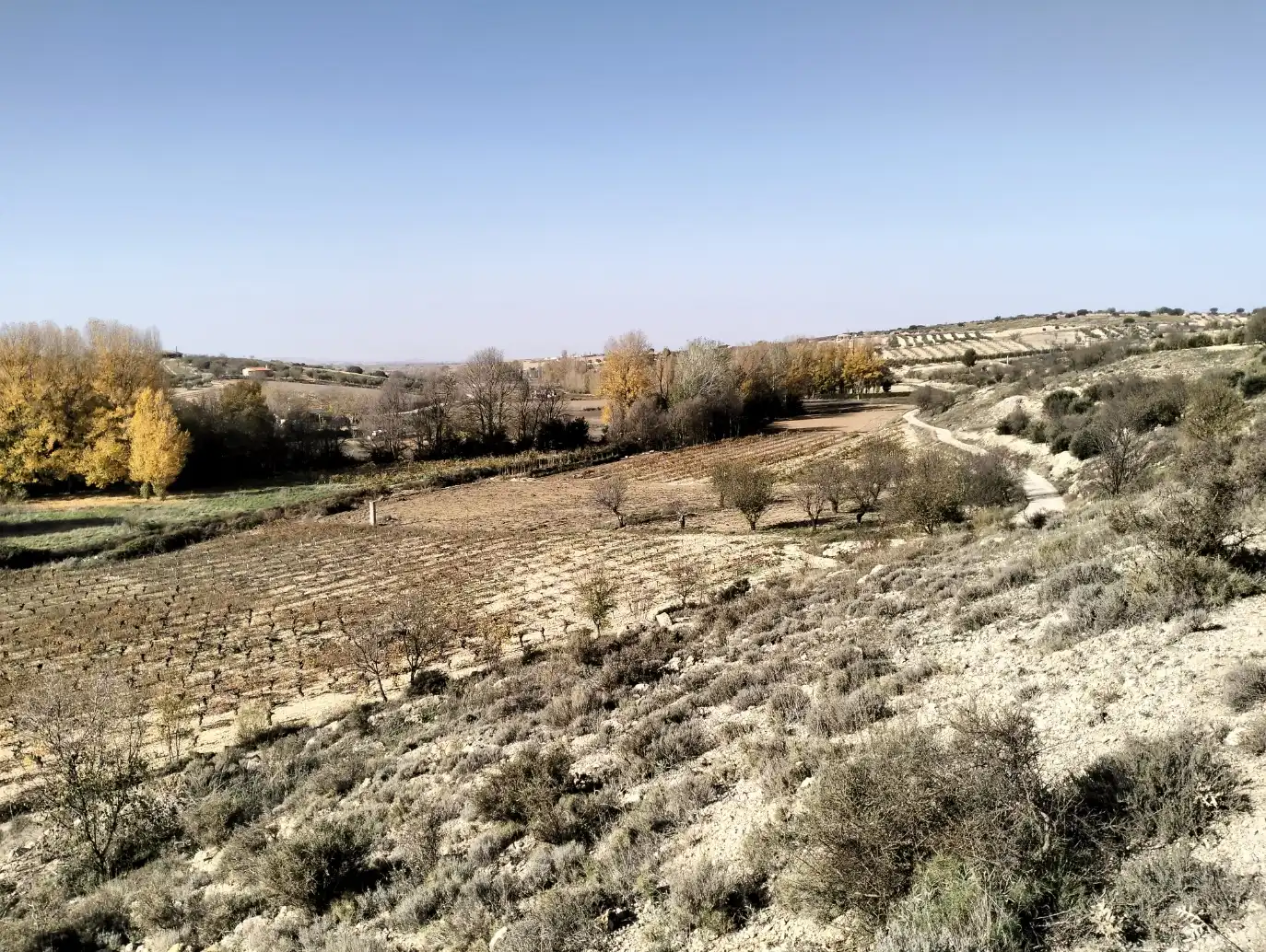 Residencial en venta en Munera