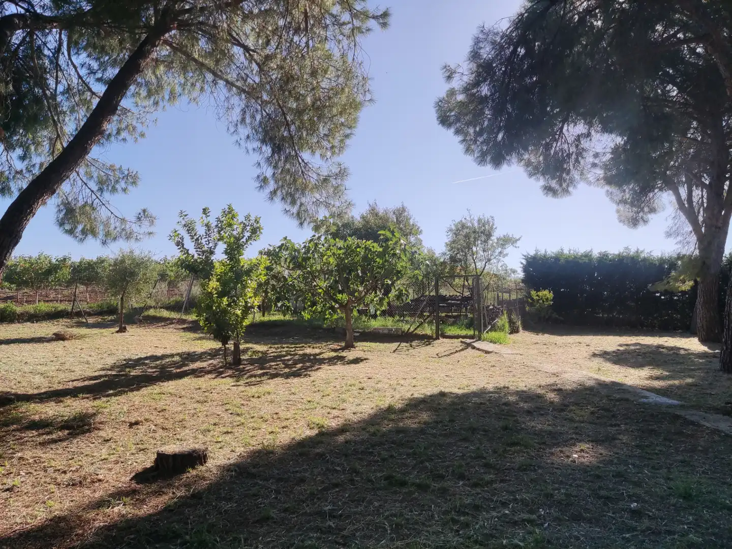 Casa o xalet en venda en Ciudad Real amb Aire condicionat, Calefacció i Jardí privat