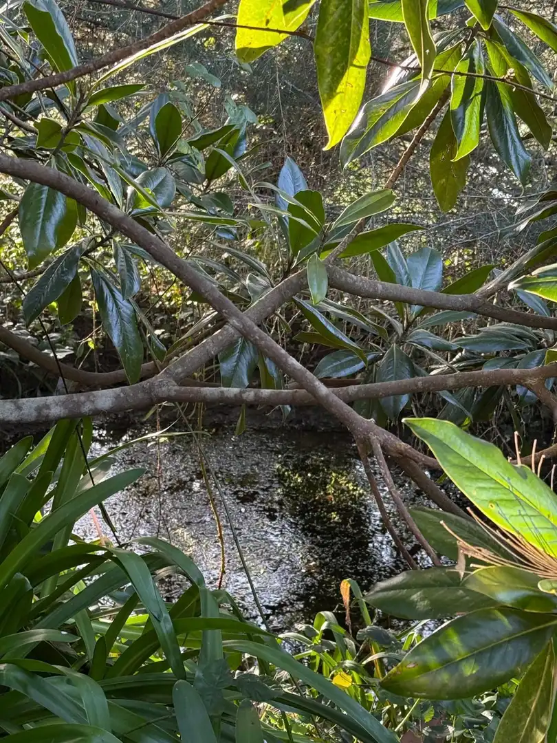 Jardín de Finca rústica en venta en Monfero con Calefacción, Jardín privado y Amueblado