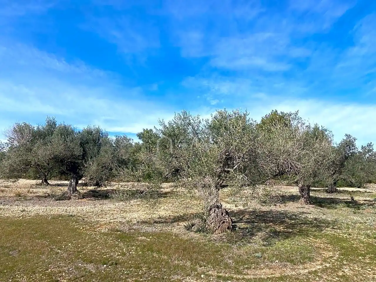 Terreno rustico in vendita a Planas, imagen 2
