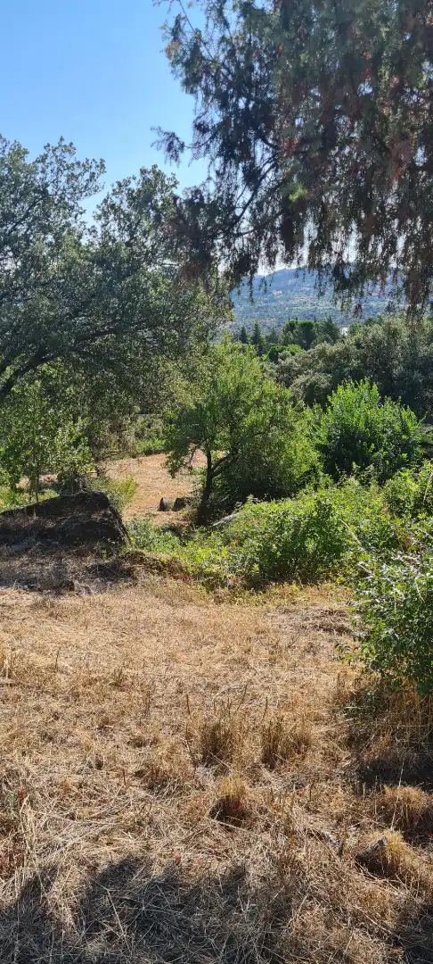 Residential land for sale in Calle Tajuña 726, imagen 6