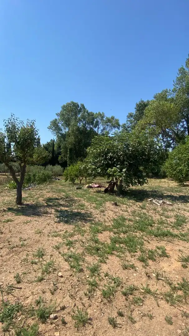 Terreny rústic en venda a Vila de Palafrugell, imagen 4