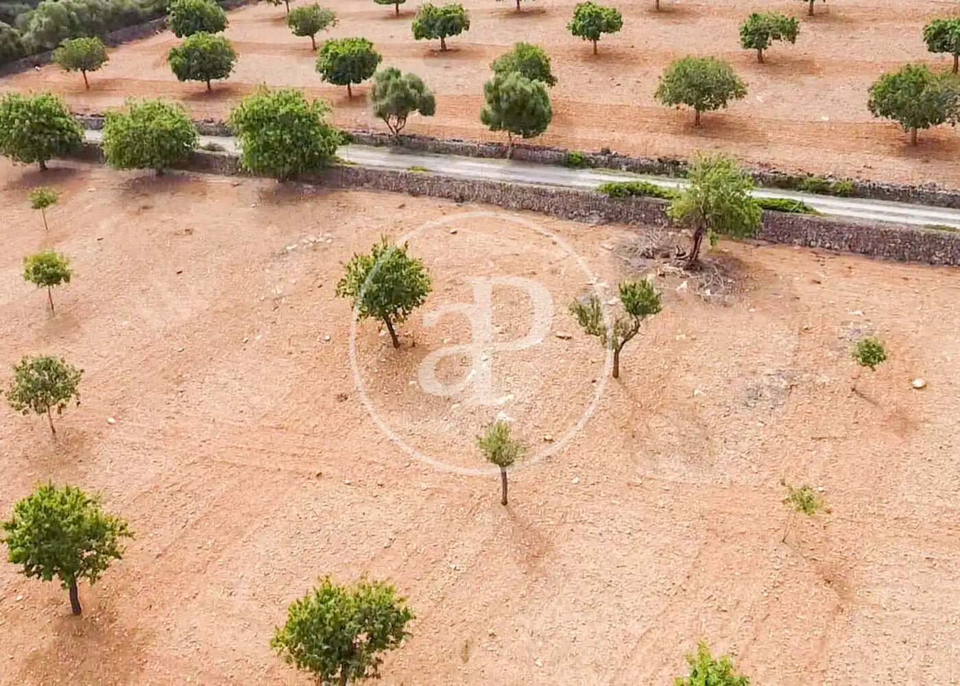 Terreno residenziale in vendita a Cami de.'s Presos, imagen 33