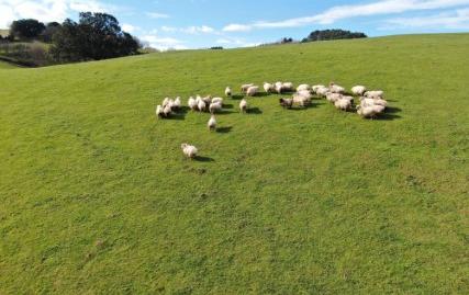 Foto 5 de Terreny en venda a Baltasar Etxabe Kalea, 3, Aizarnazabal, Gipuzkoa