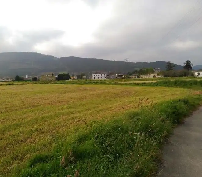 Terreny rústic en venda a LUGAR ALMUÑA (SUR/P-R-L-02), DENOMINADO SECTOR 2, imagen 2