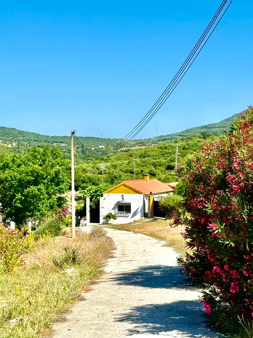 Vista exterior de Casa o xalet de lloguer en Tarifa amb Jardí privat, Terrassa i Traster